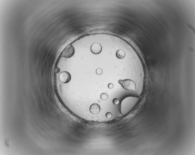 X0000099300957200805301130