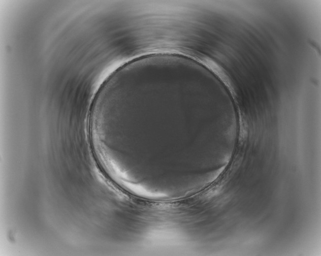 X0000099300958200805301130