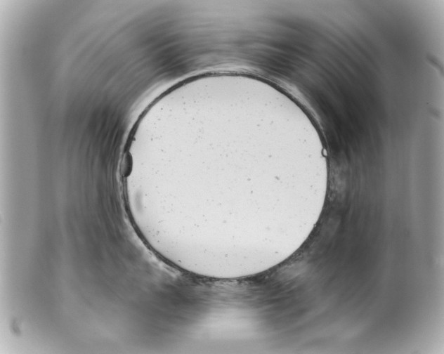 X0000099300959200805301130