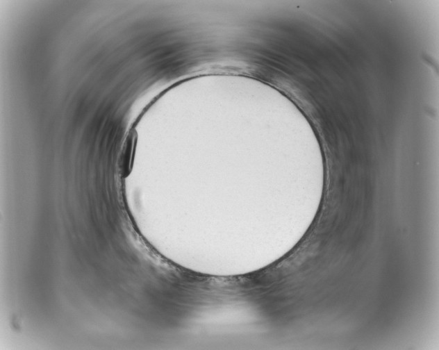X0000099300960200805301130