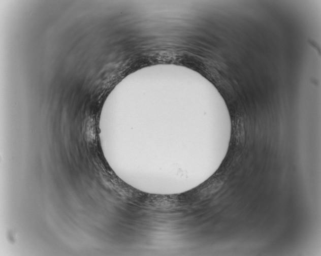 X0000099300962200805301130