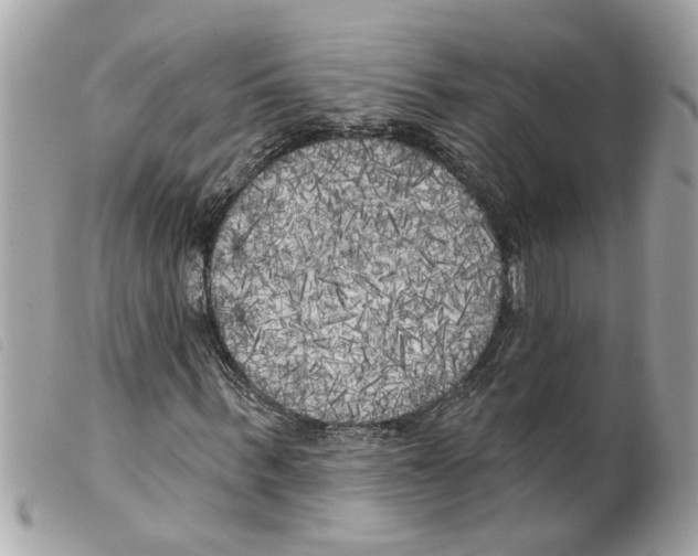 X0000099300963200805301130