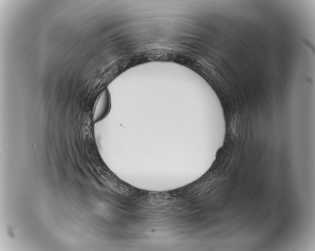 X0000099300964200805301130