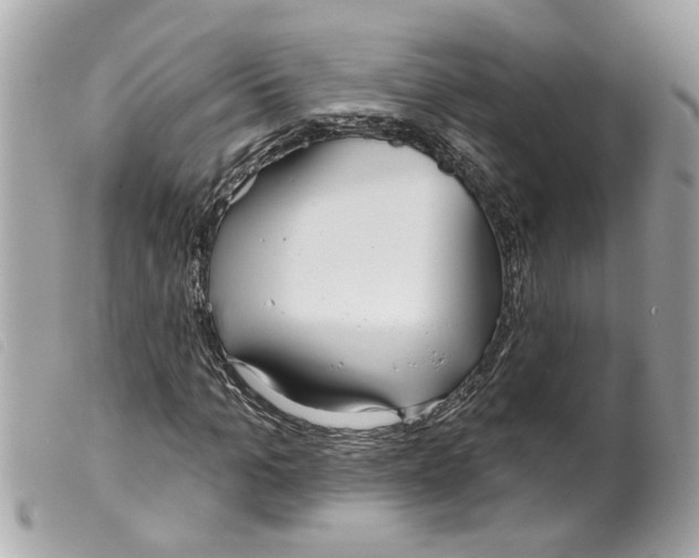 X0000099300965200805301130