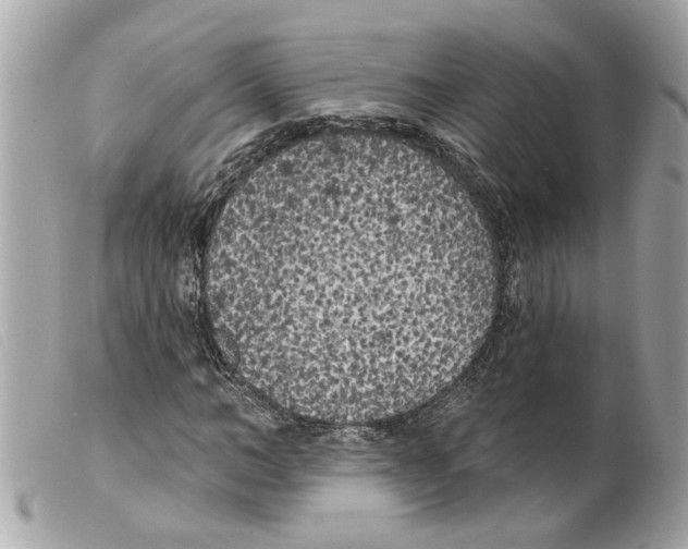 X0000099300966200805301130
