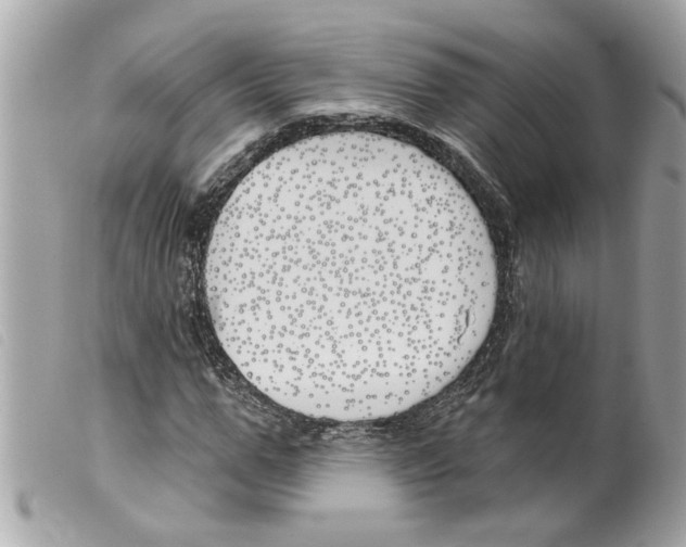 X0000099300967200805301130