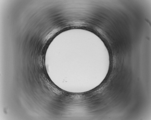 X0000099300970200805301130