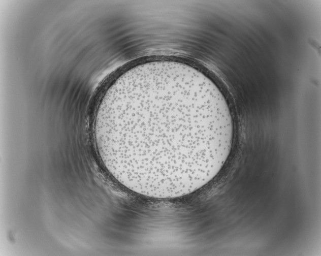 X0000099300971200805301130