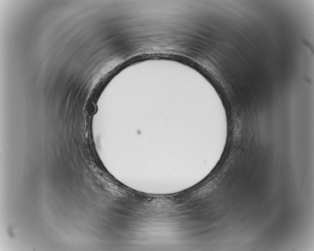 X0000099300974200805301130
