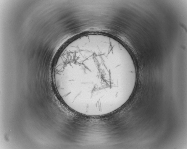 X0000099300976200805301130