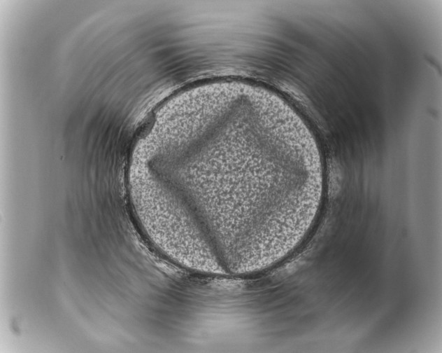 X0000099300977200805301130