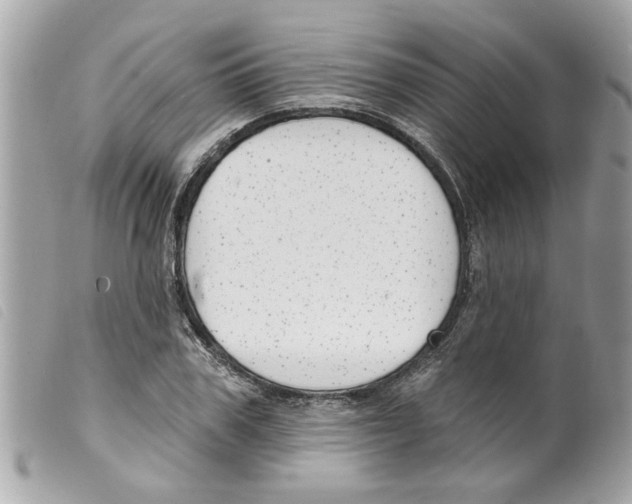 X0000099300979200805301129