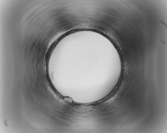 X0000099300981200805301129