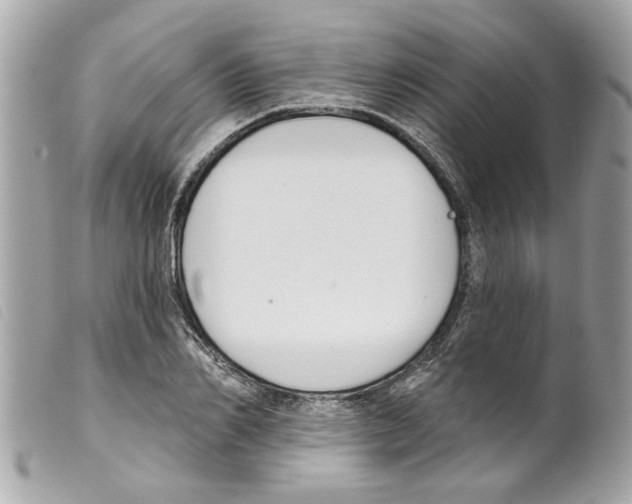 X0000099300982200805301129