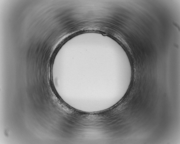 X0000099300984200805301129