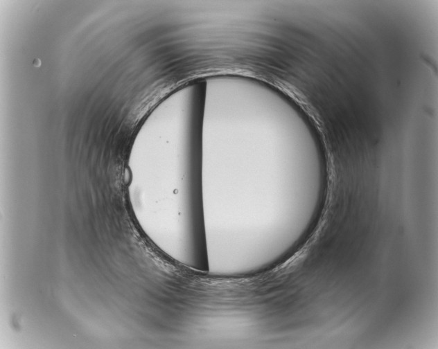 X0000099300985200805301129