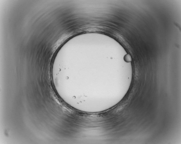 X0000099300986200805301129