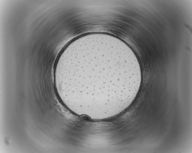 X0000099300988200805301129