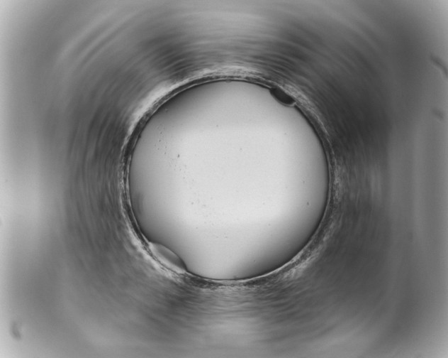 X0000099300989200805301129