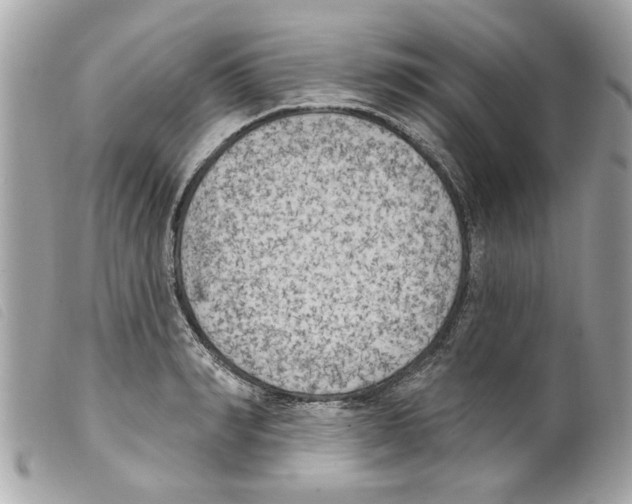 X0000099300990200805301129