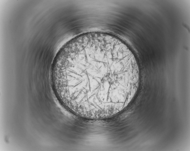 X0000099300991200805301129