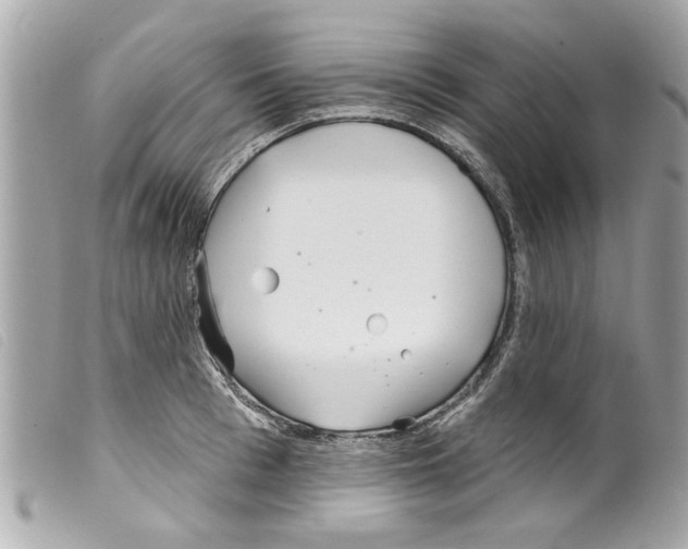 X0000099300993200805301129