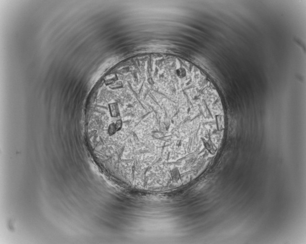 X0000099300994200805301129