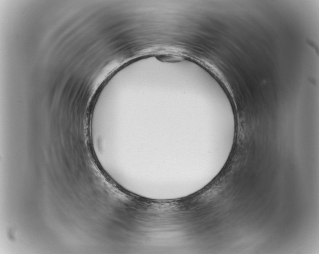 X0000099300997200805301129