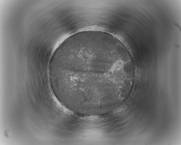 X0000099300998200805301129