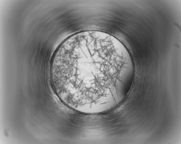 X0000099301000200805301129