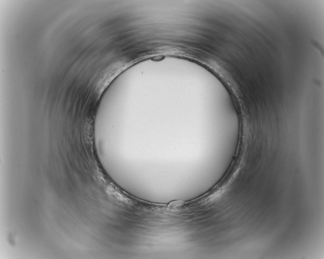 X0000099301001200805301129