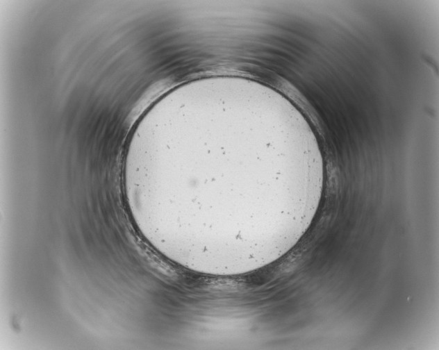 X0000099301002200805301129