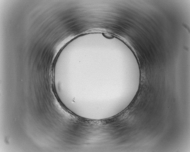 X0000099301003200805301129