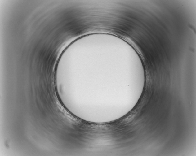 X0000099301004200805301129