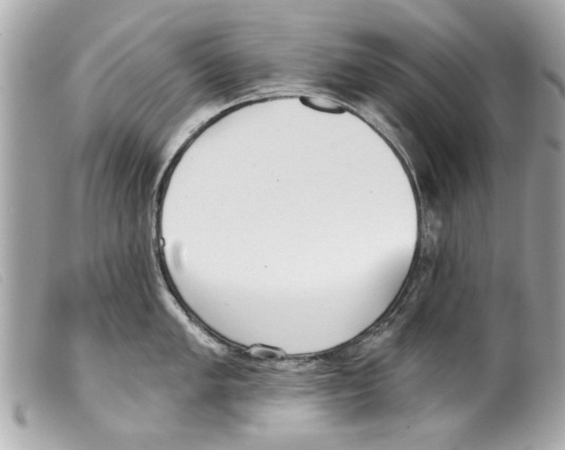 X0000099301005200805301129