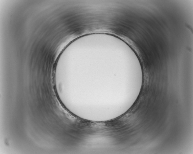 X0000099301006200805301129