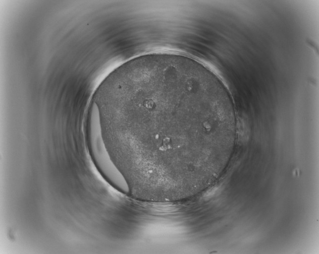 X0000099301007200805301129