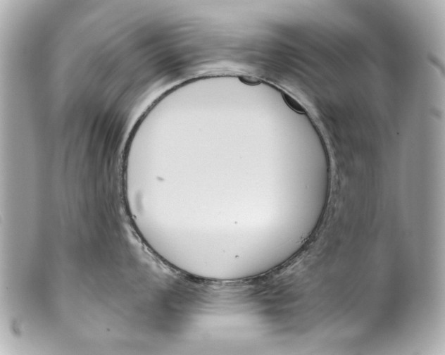 X0000099301008200805301129