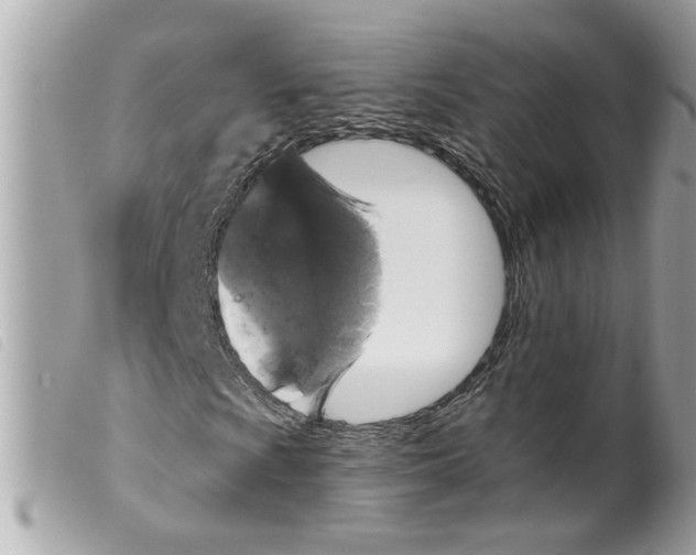 X0000099301009200805301128