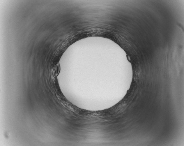 X0000099301010200805301128