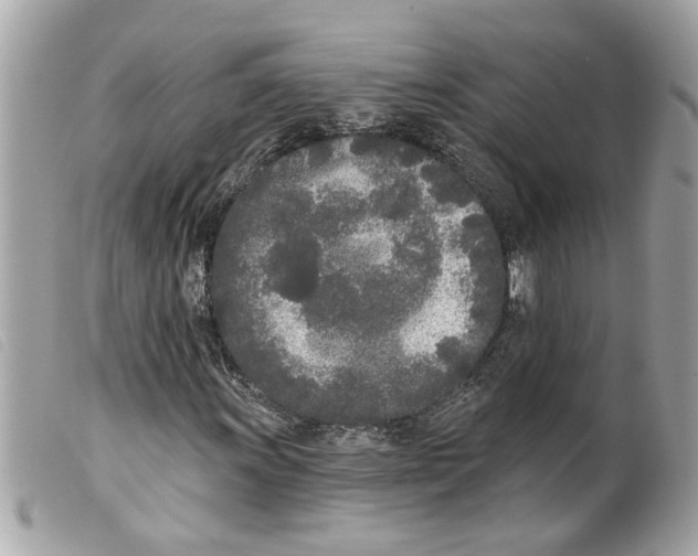 X0000099301011200805301128