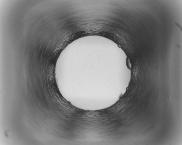 X0000099301012200805301128