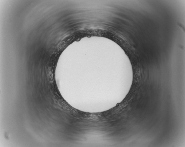 X0000099301013200805301128