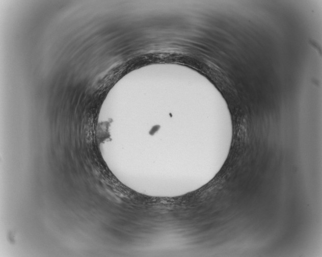 X0000099301014200805301128