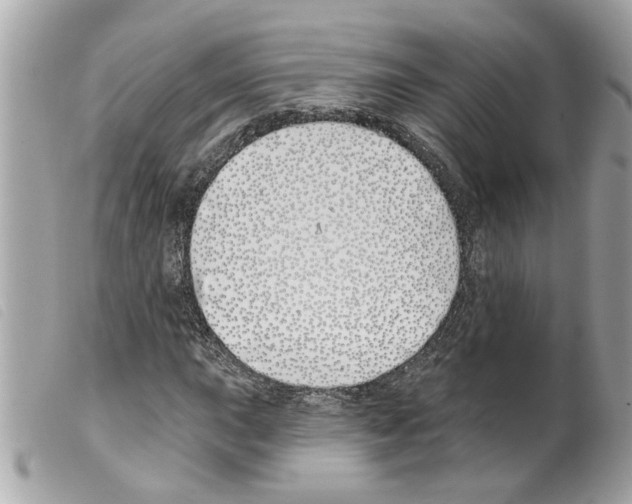 X0000099301015200805301128