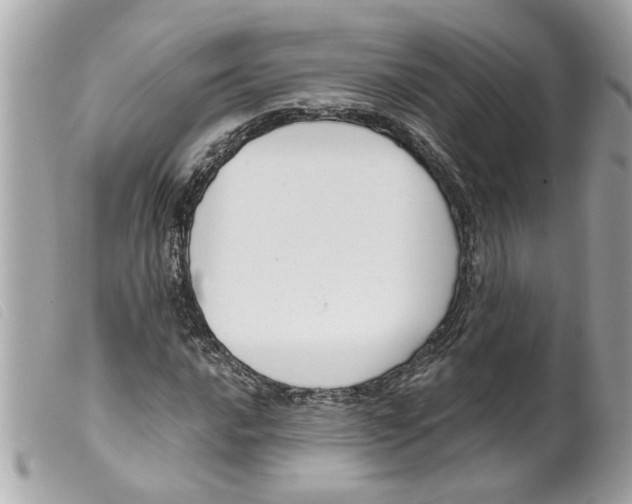 X0000099301016200805301128