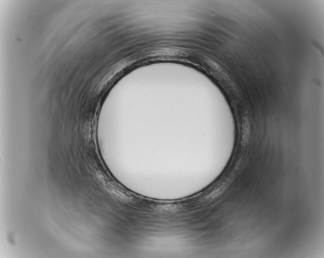 X0000099301017200805301128