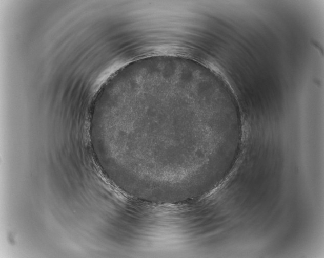 X0000099301019200805301128