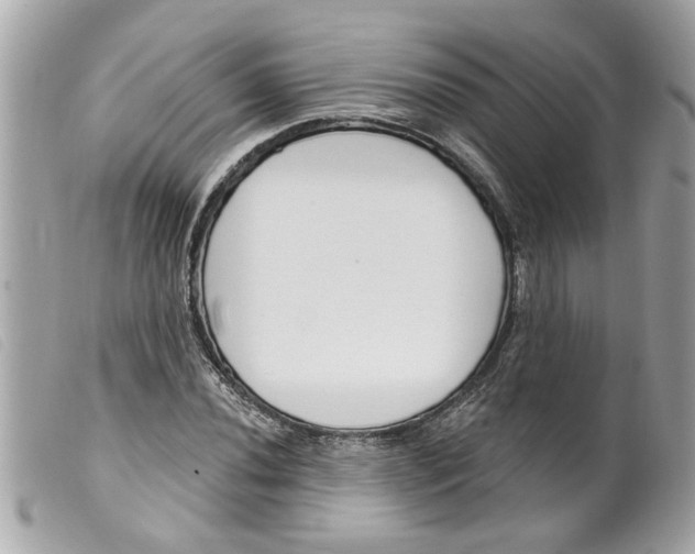 X0000099301020200805301128