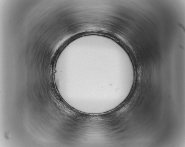 X0000099301021200805301129